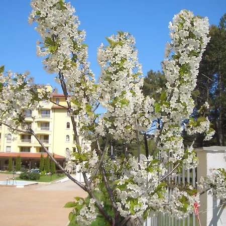 Apartamento Summer Dreams Sunny *